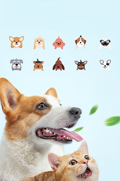Pet Toothbrush Oral Cleaning Products