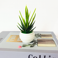 Artificial Green Plants Potted Artificial Flowers Small Ornaments