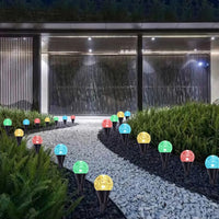 Home & Garden