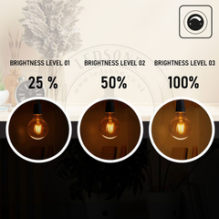 10Pack E27 LED Edison Dimmable Vintage Amber Glass Warm white 2700K Light Bulbs - TikTopia