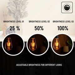 3Pack E27 LED Edison Dimmable Vintage Amber Glass Warm white 2700K Light Bulb, - TikTopia