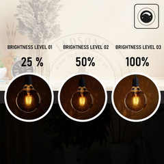 5 Pack of Vintage Globe Edison LED Light Bulb G95 8W, E27 Screw Bulb - TikTopia