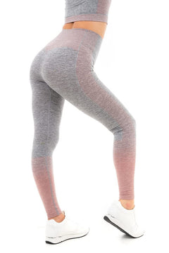 GRADIENT STRIPE SEAMLESS LEGGINGS GREY - XL - TikTopia