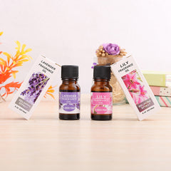 Aromatherapy essential oil humidifier - TikTopia