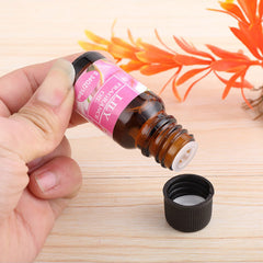 Aromatherapy essential oil humidifier - TikTopia