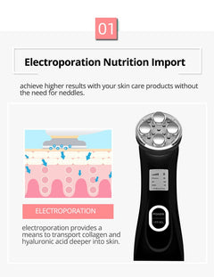 Multifunctional skin rejuvenation care instrument qi - TikTopia