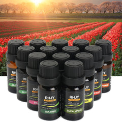 Diffusers Essential Oil Set - TikTopia