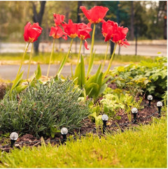 Solar LED Stake Lights Multi Coloured 20 Ball Garden Path Lighting Patio Outdoor - TikTopia