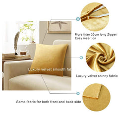 2 Packs Gold Decorative Cushions Covers Cases for Sofa Bed - TikTopia