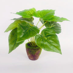 Artificial Green Plants Potted Artificial Flowers Small Ornaments - TikTopia
