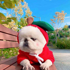Cute Fruit Dog Clothes For Small Dogs Hoodies Winter Warm Fleece Pet Clothing Puppy Cat Costume Coat For French Chihuahua Outfit - TikTopia