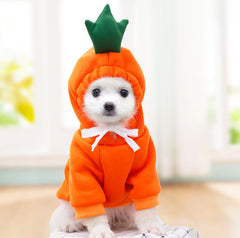 Cute Fruit Dog Clothes For Small Dogs Hoodies Winter Warm Fleece Pet Clothing Puppy Cat Costume Coat For French Chihuahua Outfit - TikTopia