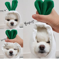 Cute Fruit Dog Clothes For Small Dogs Hoodies Winter Warm Fleece Pet Clothing Puppy Cat Costume Coat For French Chihuahua Outfit - TikTopia