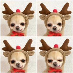 Cute Fruit Dog Clothes For Small Dogs Hoodies Winter Warm Fleece Pet Clothing Puppy Cat Costume Coat For French Chihuahua Outfit - TikTopia
