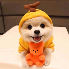 Cute Fruit Dog Clothes For Small Dogs Hoodies Winter Warm Fleece Pet Clothing Puppy Cat Costume Coat For French Chihuahua Outfit - TikTopia
