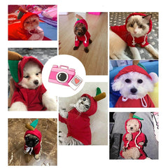 Cute Fruit Dog Clothes For Small Dogs Hoodies Winter Warm Fleece Pet Clothing Puppy Cat Costume Coat For French Chihuahua Outfit - TikTopia