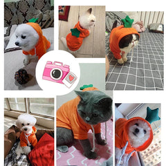 Cute Fruit Dog Clothes For Small Dogs Hoodies Winter Warm Fleece Pet Clothing Puppy Cat Costume Coat For French Chihuahua Outfit - TikTopia