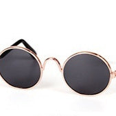 Pet Glasses  Cat Sunglasses  Pet Accessories Cat Glasses - TikTopia