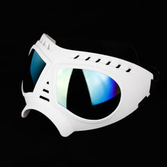 Pet Sunglasses Dog Windproof Glasses Accessories Goggles - TikTopia