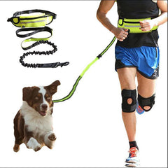 Hands Free Dog Leash Pet Walking And Training Belt With Shock Absorbing Bungee Leash For Up To 180lbs Large Dogs Phone Pocket And Water Bottle Holder - TikTopia