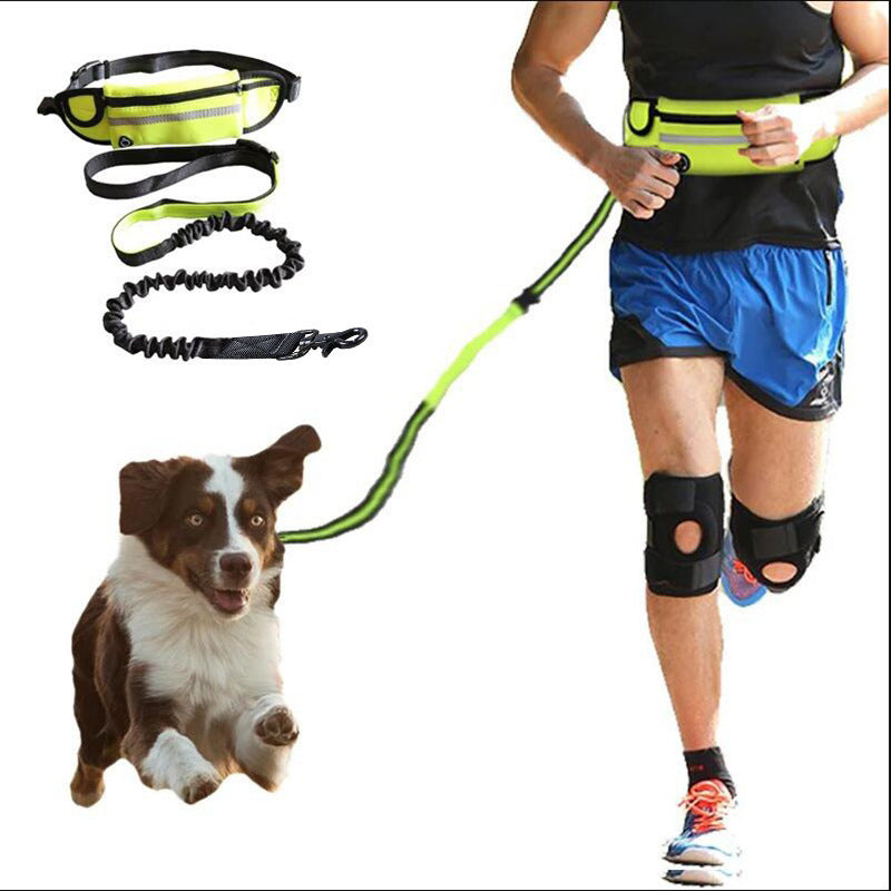 Hands Free Dog Leash Pet Walking And Training Belt With Shock Absorbing Bungee Leash For Up To 180lbs Large Dogs Phone Pocket And Water Bottle Holder - TikTopia
