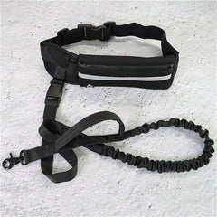 Hands Free Dog Leash Pet Walking And Training Belt With Shock Absorbing Bungee Leash For Up To 180lbs Large Dogs Phone Pocket And Water Bottle Holder - TikTopia