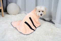 Quick-drying Pet Absorbent Towel Dog Bathrobe Pet Dog Bath Towel For Dogs Cats Microfiber Absorbent Pet Drying Towel Pet Supplies Pet Products - TikTopia