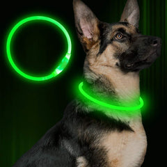 Pet Flashing Collar USB Rechargeable Glowing Necklace Safety Collar Light Up Collars For Night Walking Electric Dog Collar Neon - TikTopia
