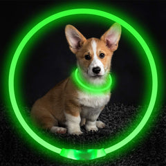 Pet Flashing Collar USB Rechargeable Glowing Necklace Safety Collar Light Up Collars For Night Walking Electric Dog Collar Neon - TikTopia