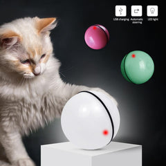LED Laser Electronic Rolling Pet Funny Cat Toy Ball - TikTopia