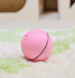 LED Laser Electronic Rolling Pet Funny Cat Toy Ball - TikTopia