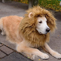 Cute Pet Cosplay Clothes Transfiguration Costume Lion Mane Winter Warm Wig Cat Large Dog Party Decoration With Ear Pet Apparel - TikTopia