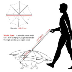 Dog's Transparent Umbrella With Traction Chain Removable Umbrella Pet Products - TikTopia
