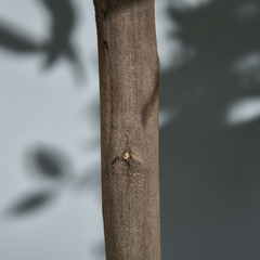 9.png